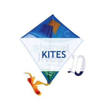 Picture for category Kites