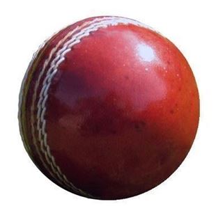 Picture of Full Size Cricket Ball
