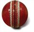 Picture of Full Size Cricket Ball