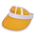 Picture of NOVELTY SUN VISOR